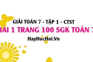 Giải bài 1 trang 100 Toán 7 Tập 1 SGK Chân trời sáng tạo